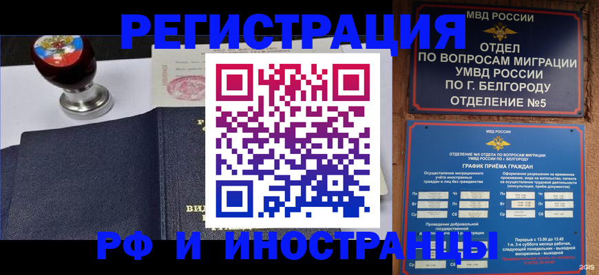 временная регистрация поиск в Смоленской области